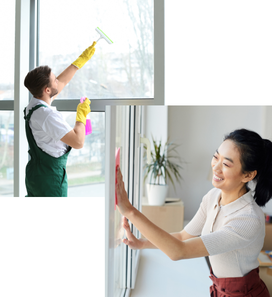 Why Green Frog House Cleaning Service?