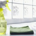 House Cleaners: Five Cleaning Myths