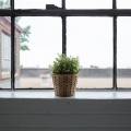 How to Clean Your Window Sills & Tracks