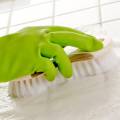 5 Green Cleaning Tips to Help You Keep Your House Clean During The Summer