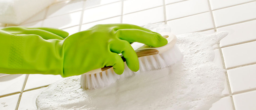 https://greenfrogcleaning.com/wp-content/uploads/2018/09/green_cleaning_services.jpg