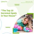 Top 10 Germiest Spots in Your House