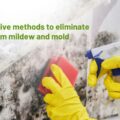 How to eliminate bathroom mildew and mold