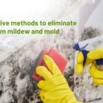 5 effective methods to eliminate bathroom mildew and mold