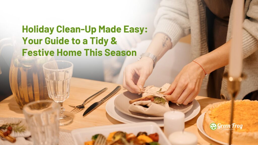 Holiday Clean-Up San Diego - Green frog professional cleaning service