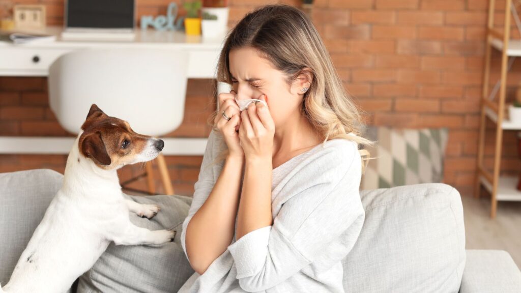 woman sneezing with pet. Prevent Allergies with a Clean Home: Tips for an Allergy-Free Space