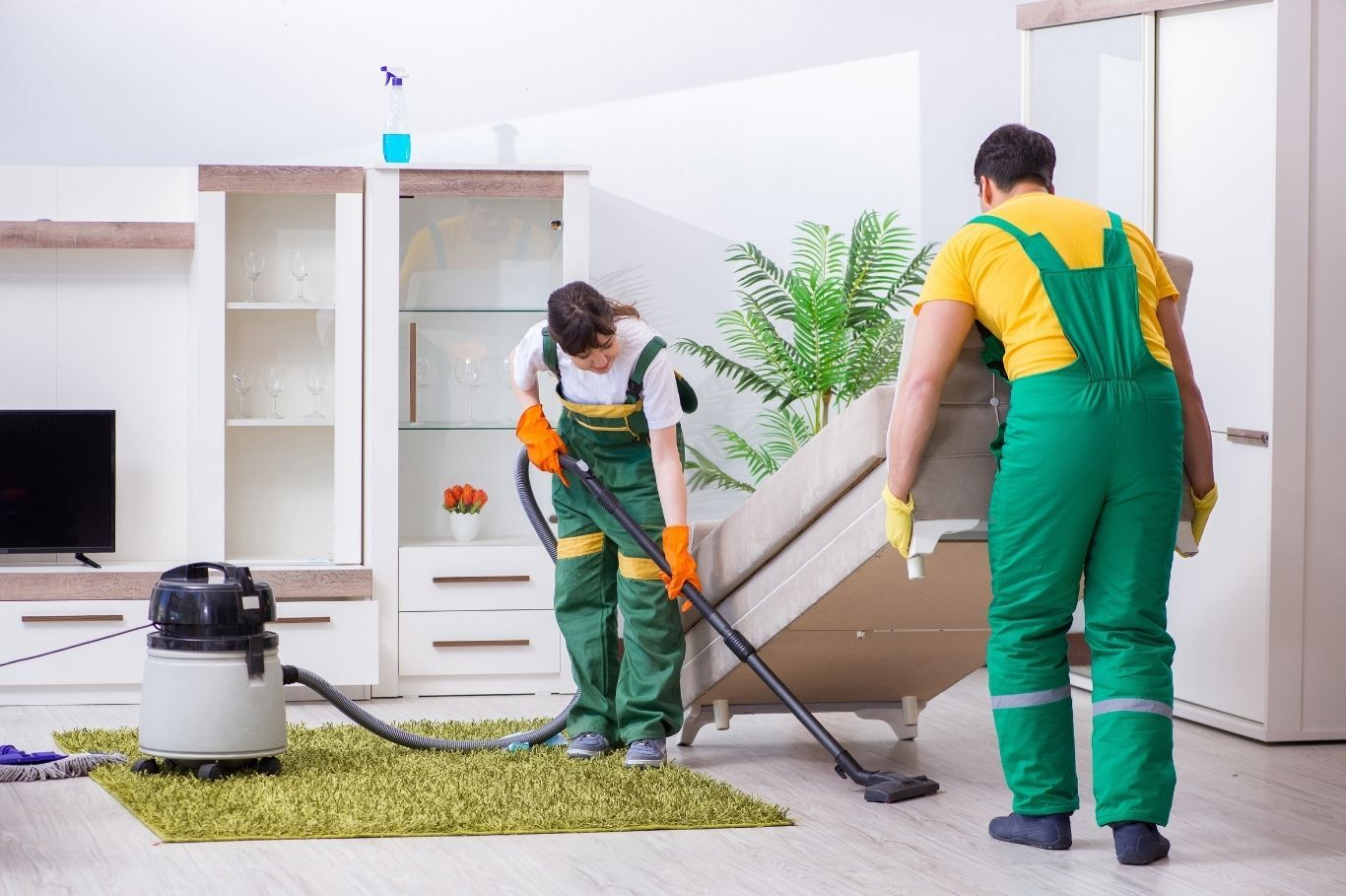 Green Frog Cleaning professionals