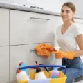 Non Toxic House Cleaners vs Traditional House Cleaners Non Toxic House Cleaners vs Traditional House Cleaners